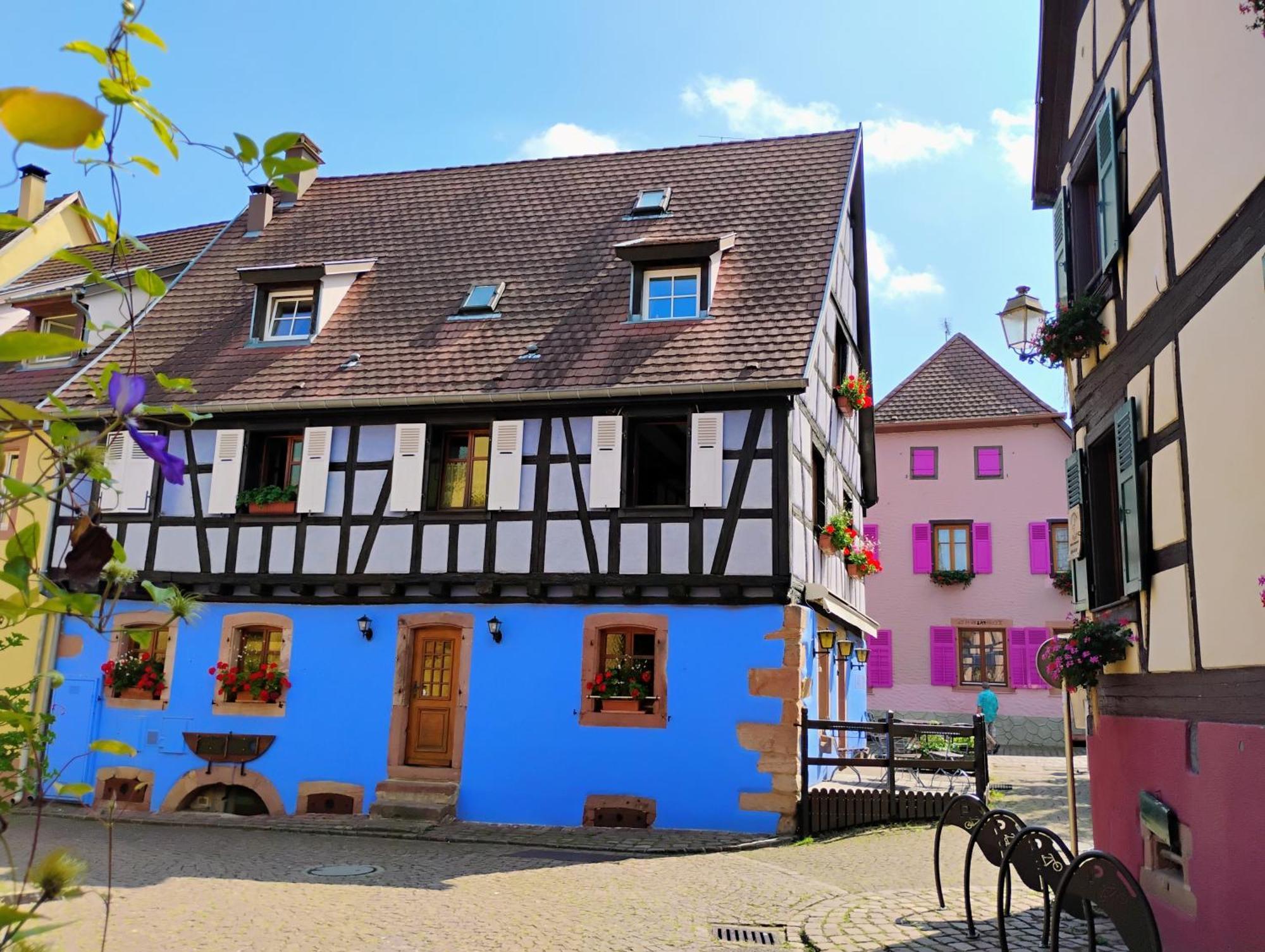 Gite Le Marronnier - Au Calme - Parking & Terrasse - Pres De Colmar Et Riquewihr - Route Des Vins Châtenois Exterior foto