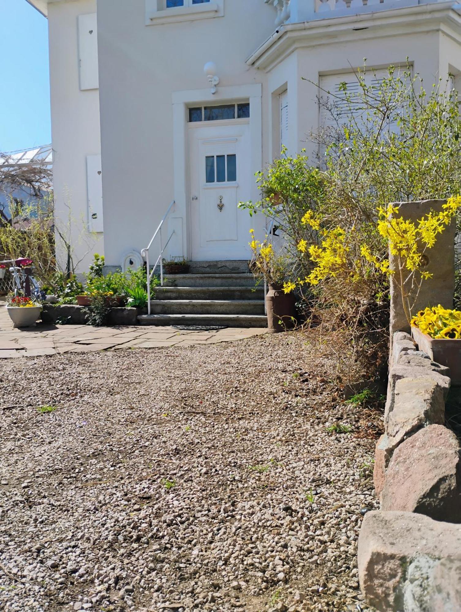 Gite Le Marronnier - Au Calme - Parking & Terrasse - Pres De Colmar Et Riquewihr - Route Des Vins Châtenois Exterior foto