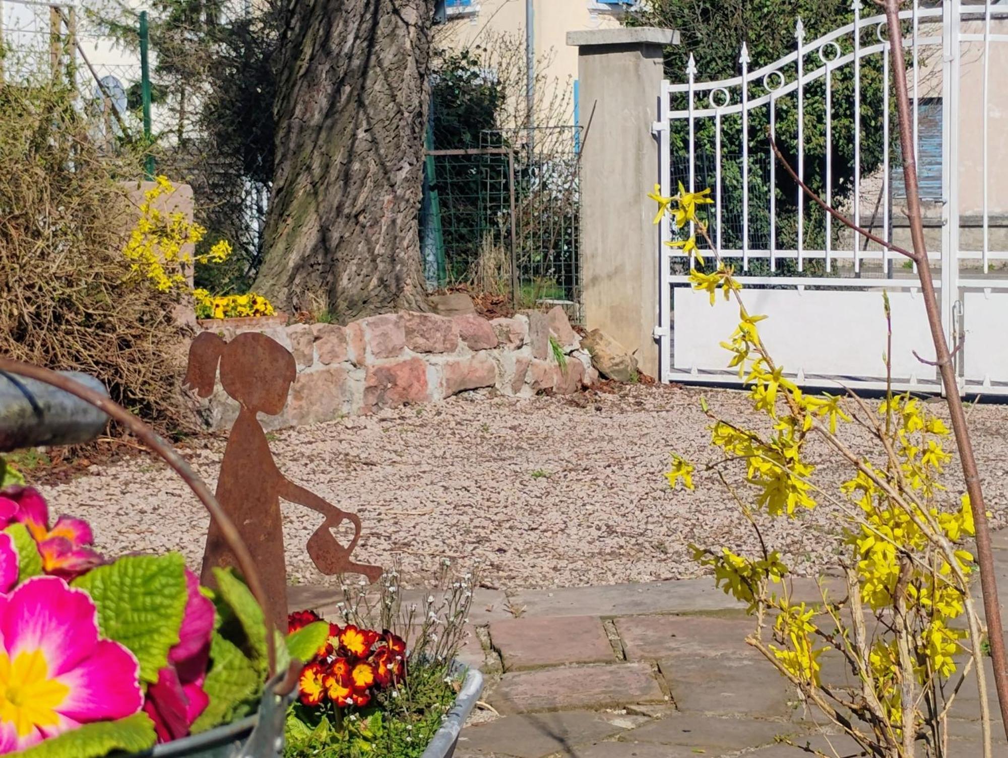 Gite Le Marronnier - Au Calme - Parking & Terrasse - Pres De Colmar Et Riquewihr - Route Des Vins Châtenois Exterior foto